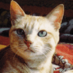 Thumbnail of post image 016